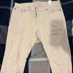 Banana Republic Traveler Pant